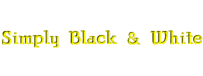 banner simply black & whte